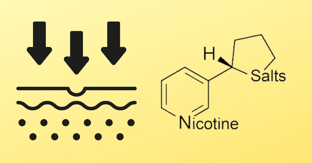 Nicotine Salt Absorption Rates in the Body: A Comprehensive Guide