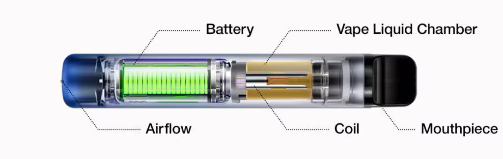 Parts of a Disposable Vape