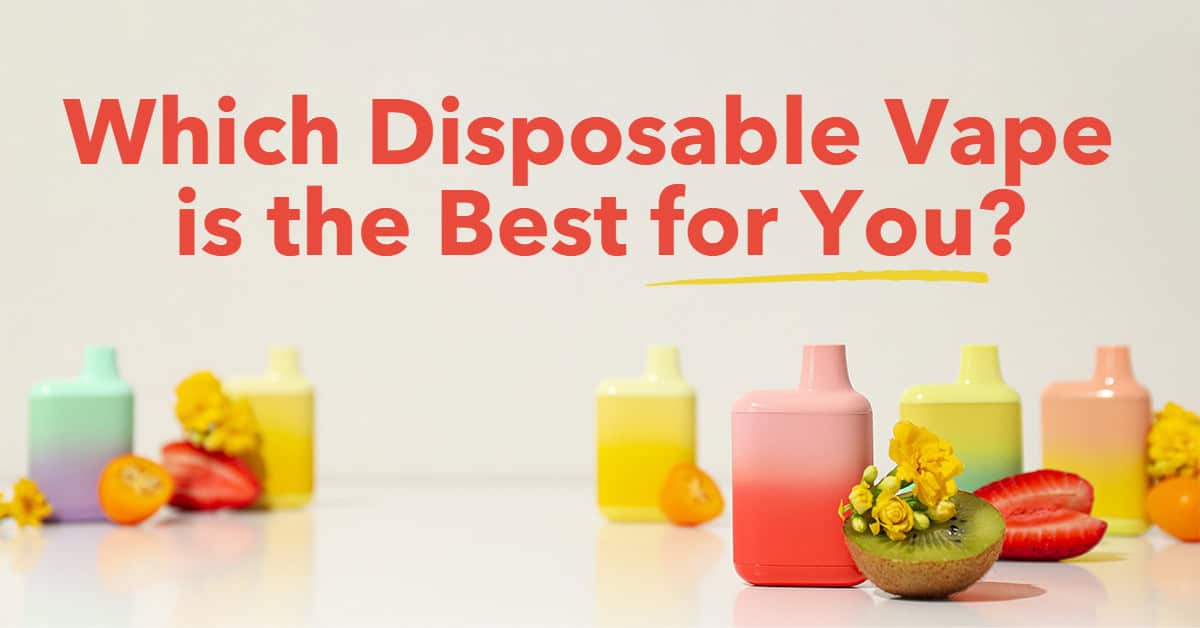 Which Disposable Vape is the Best for You?