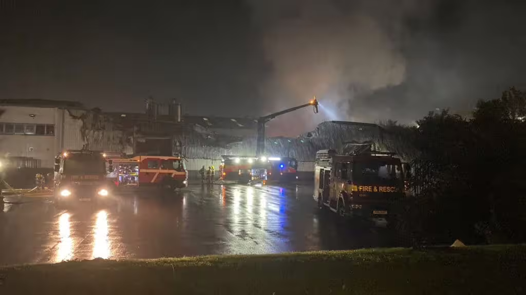 Vape Dinner Lady Factory Fire