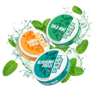 MINT & MENTHOL POUCHES